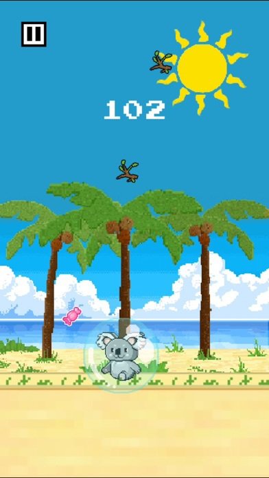 Koala Dodge