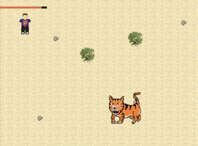 An Average Safari