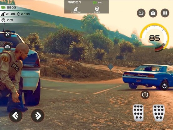 Highway Police Chase Simulator