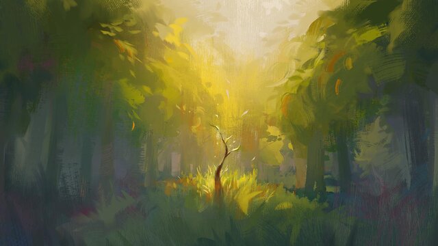 Sunlight