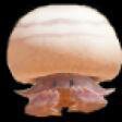 Gustcrab Simulator