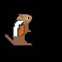 A Few Holes and One Chipmunk