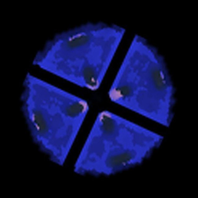 Grav Ball