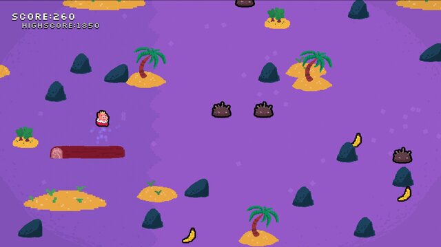 Poor Piggy Pirate
