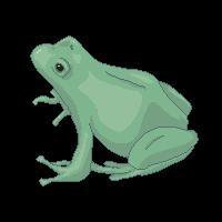 je suis une grenouille