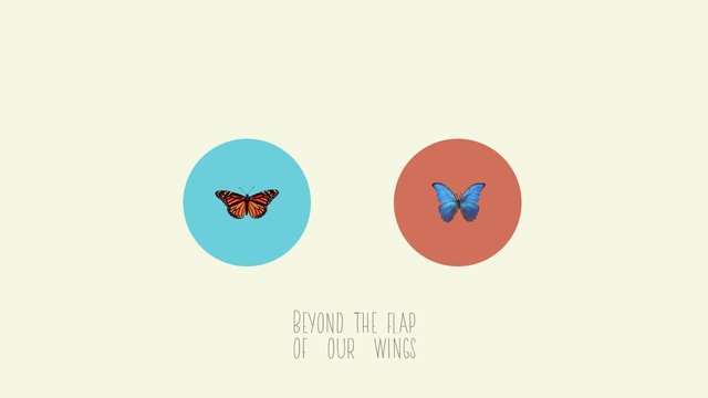 Beyond The Flap of Our Wings