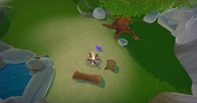 Animal Treasure Quest