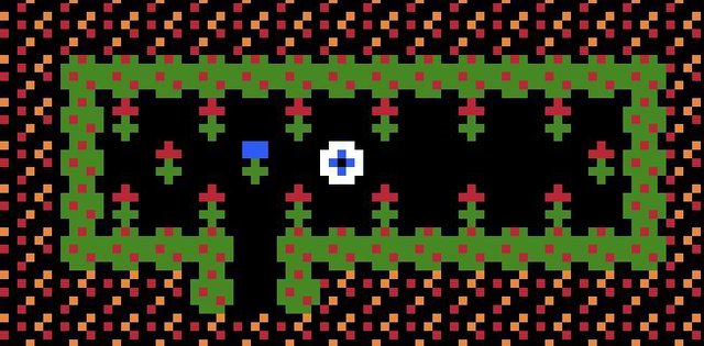 Eyeball's Garden