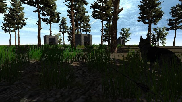 IslandsSurvival