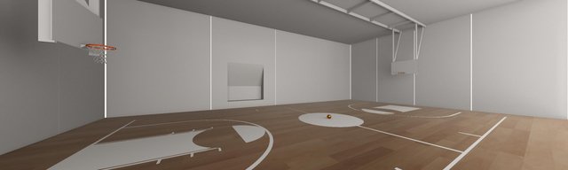 Hoop Sim