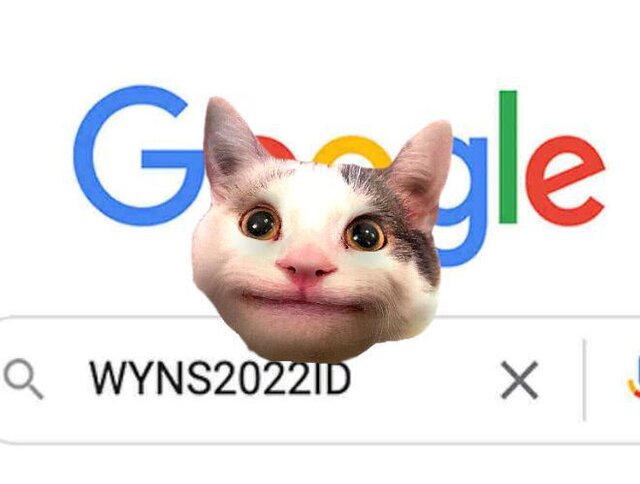 WYNS2022ID - The Game! (Beluga the cat)