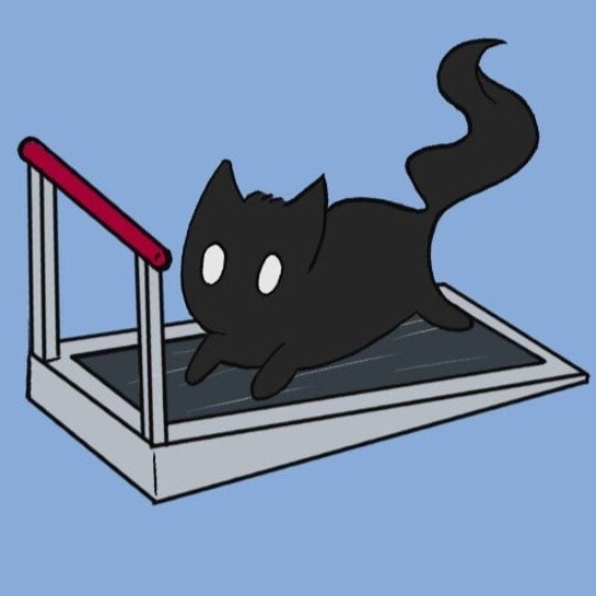 Mi gato no esta gordo