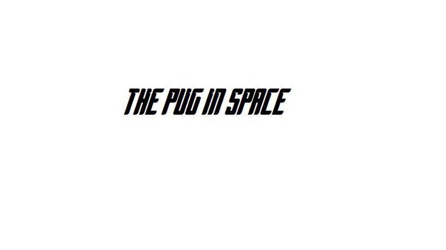 The Pug In Space