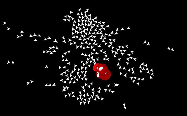 Boids will be Boids