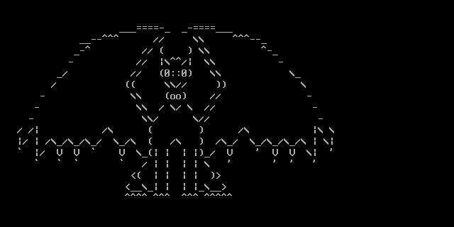 terminal_hacker (sputter.funk)